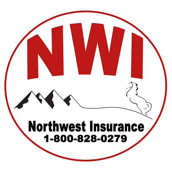 Northwest Insurance LLC 1 NW Insurance Logo