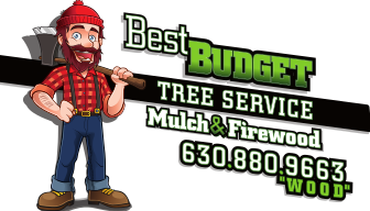 Best Budget Tree Service 1 best budget tree logo